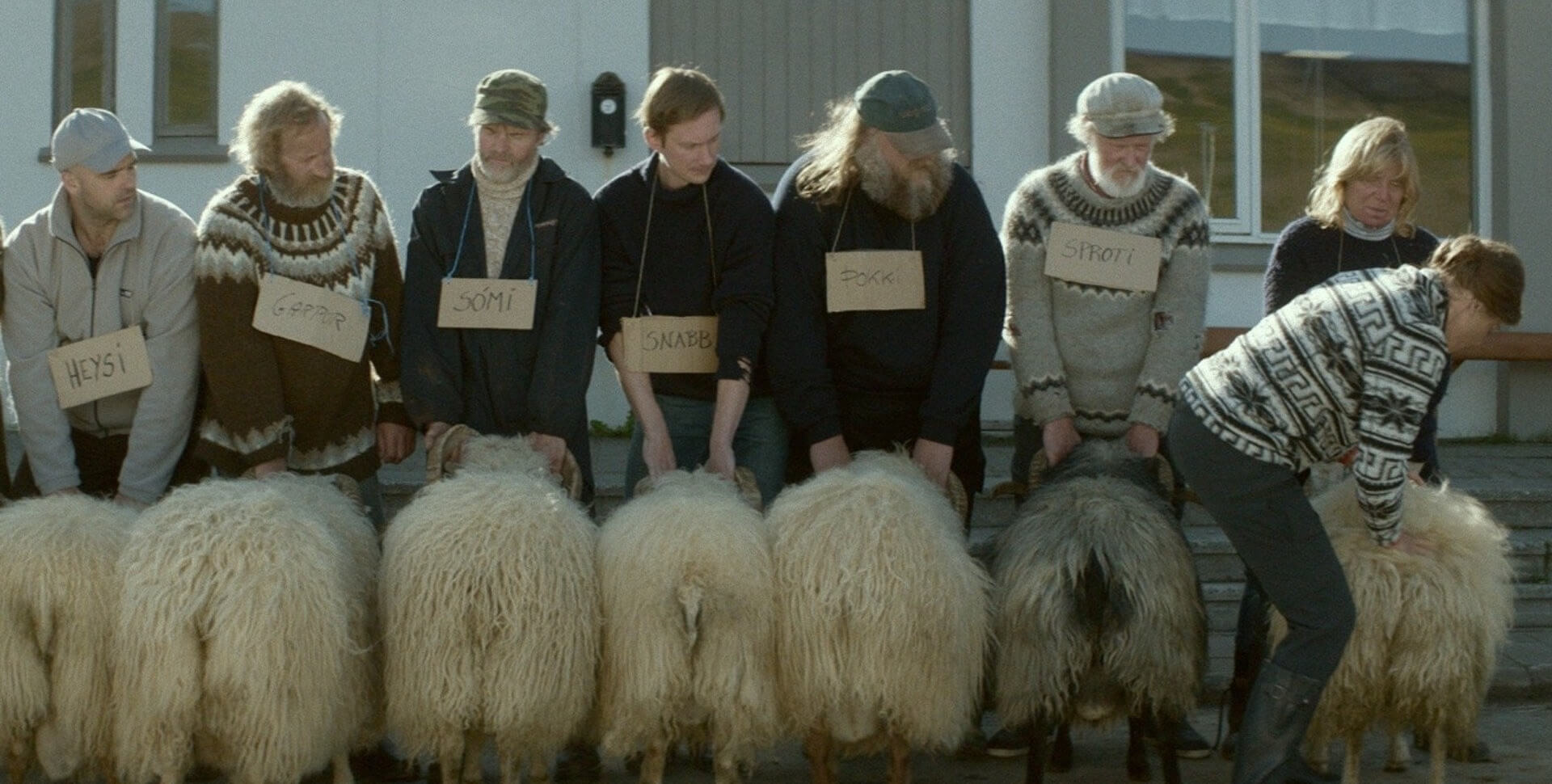 Still of Rams (2015)