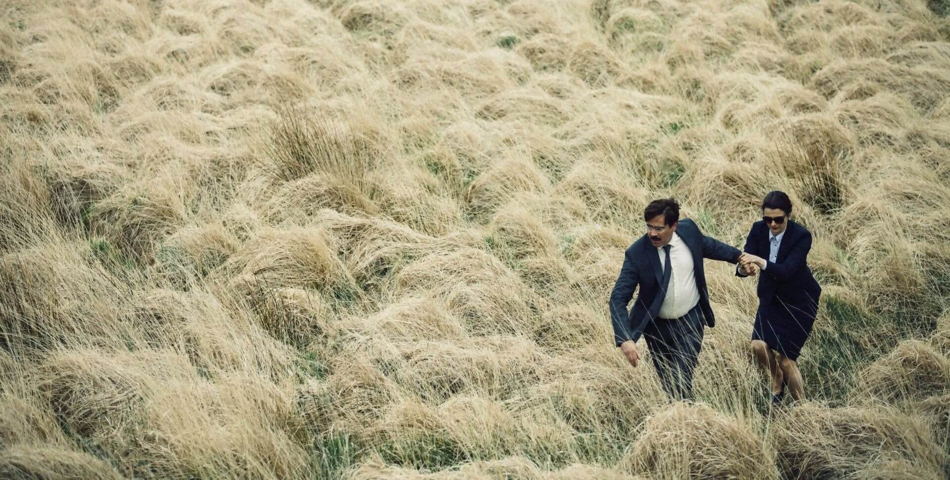 The Lobster 2015 Spoiler Free Movie Review