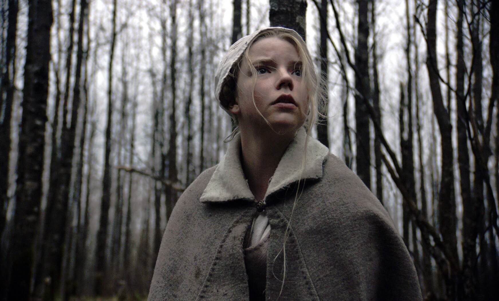 movie review the witch 2015