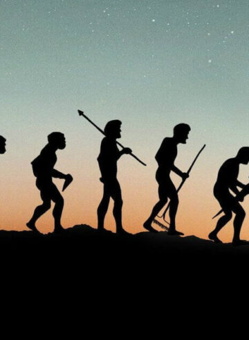 Lo and Behold, Reveries of the Connected World 2016] Spoiler Free Movie Review