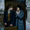 Fantastic Beasts and Where to Find Them 2016 Eddie Redmayne