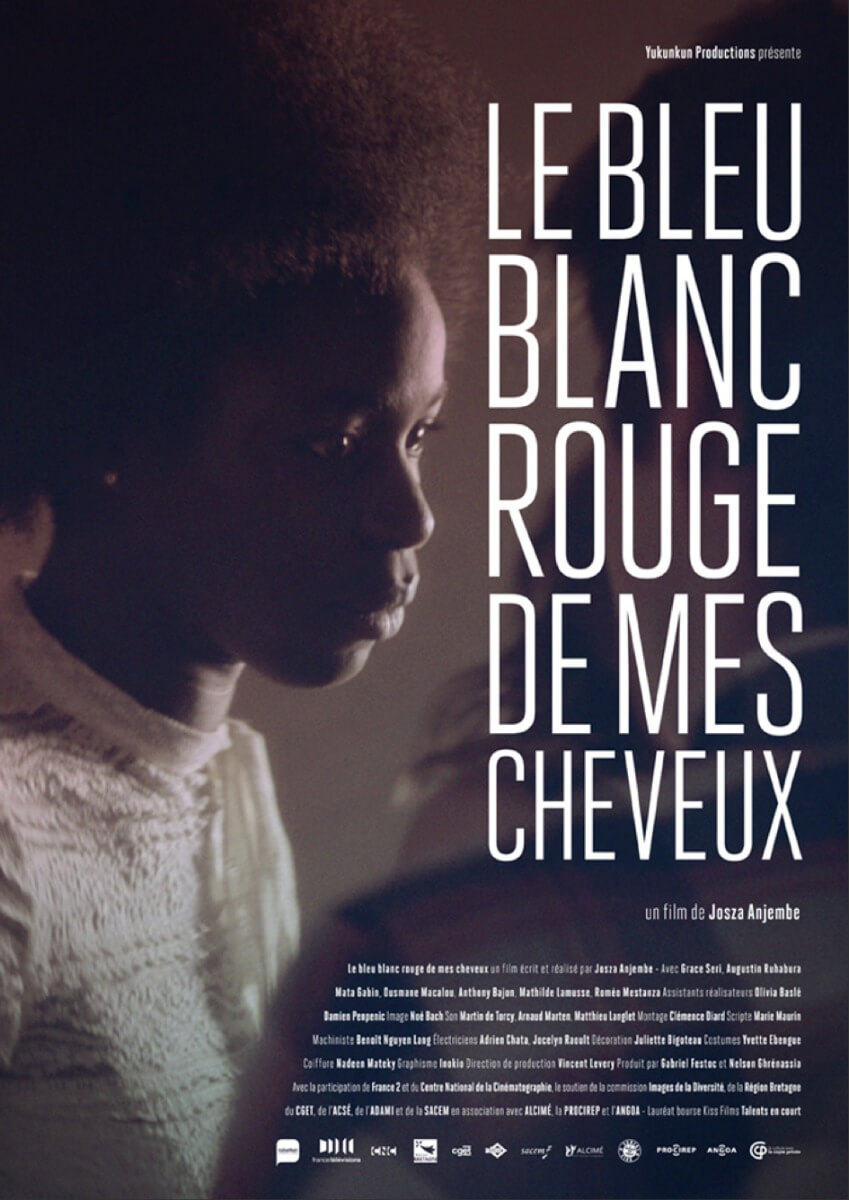 Le bleu blanc rouge de mes cheveux poster