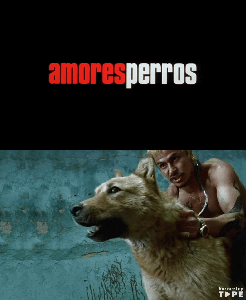 Title card and film still from Amores perros (2000)
