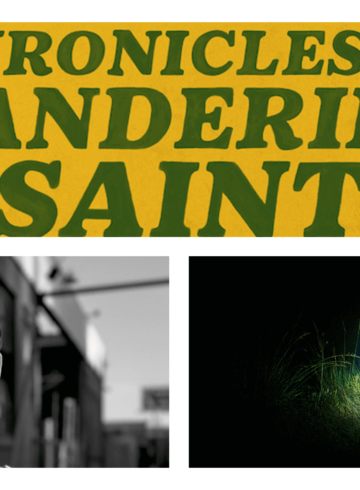 Chronicles of a Wandering Saint - Director Inteview
